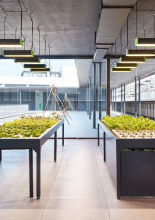 Sustainability milestones